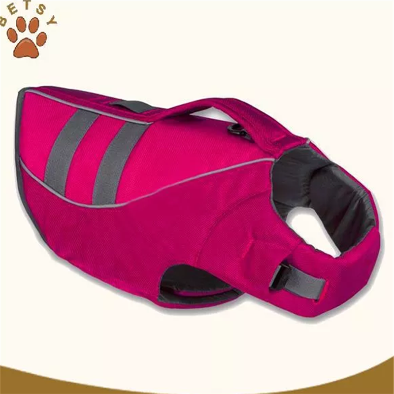 cane giubbotti & sicurezza dell'acqua