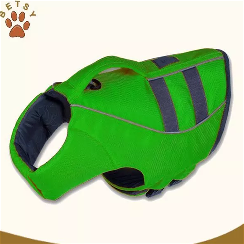 cane giubbotti & sicurezza dell'acqua