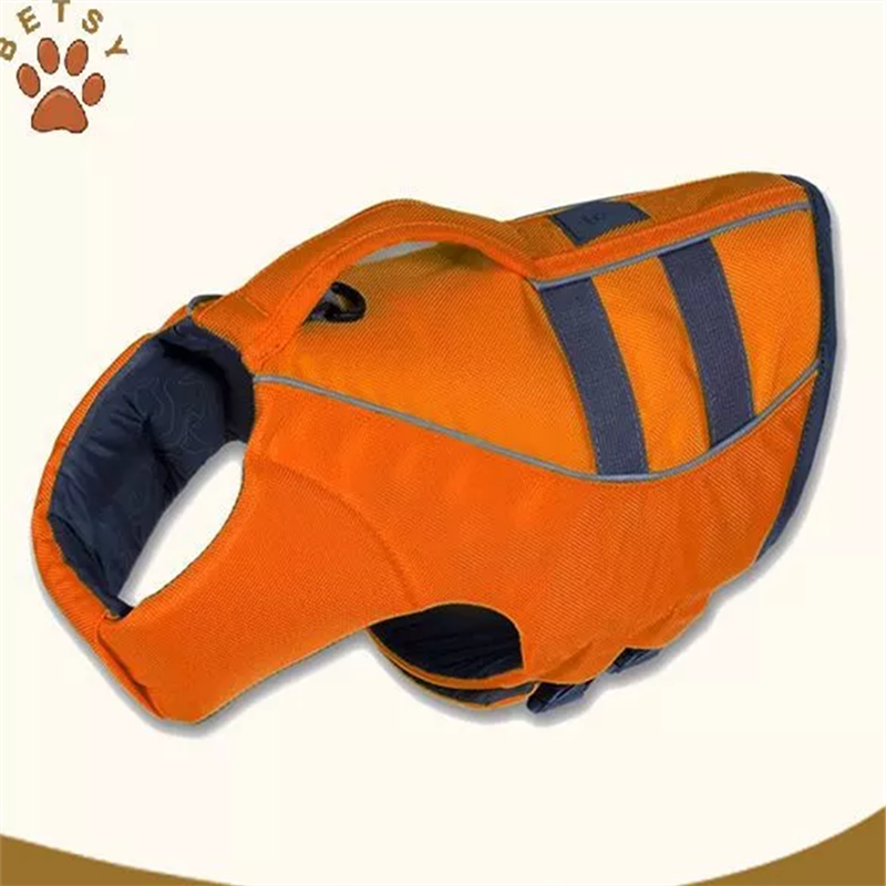 cane giubbotti & sicurezza dell'acqua