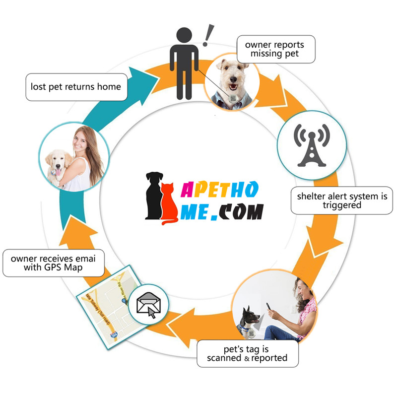 Medagliette per cani e targhette per gatti Targhetta identificativa per animali domestici intelligente in acciaio inossidabile Codice QR Posizione GPS scansionata