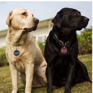 Tag 2018 Hot Sale Dog o Cat ID Tag per cani con codice QR o inciso