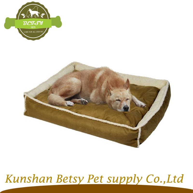 red anima cane letti