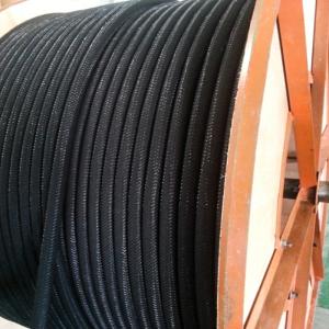 flessibile polimero conduttivo)