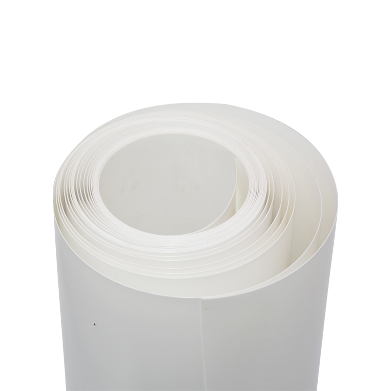Foglio in polipropilene estruso PP 100% bianco vergine colorato in plastica 1mm