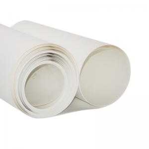 Foglio in polipropilene estruso PP 100% bianco vergine colorato in plastica 1mm