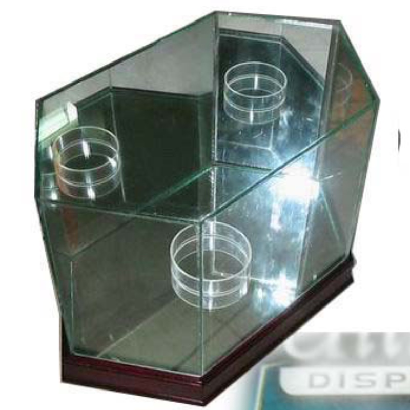 Vetrinetta Octagon Football Glass