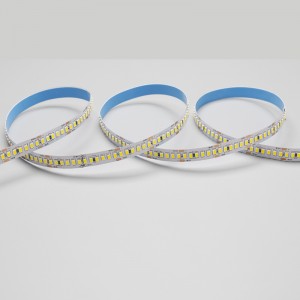 Nuovo arrivo 3 anni di garanzia DC12V DC24V SMD2835 Doppio strato in rame 3OZ flessibile LED Stripe Light 240LED al metro