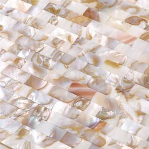 Nuova tessera a mosaico in conchiglia nera in dimensione 10 * 20mm