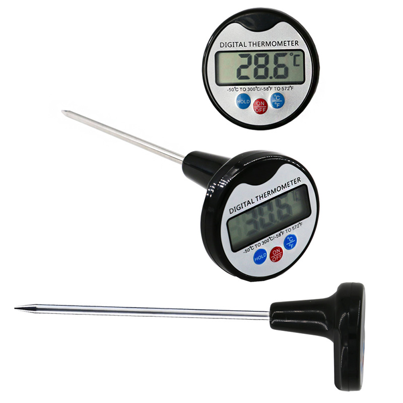 Pen Style: strumenti per la misurazione della temperatura di utilizzo domestico per la cucina. Griglia per barbecue