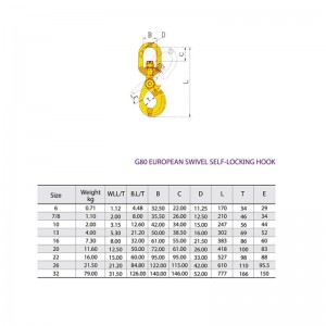 Gancio di sicurezza autobloccante girevole G80 verniciato