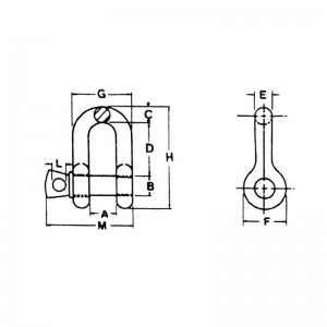 Catenaccio a catena con perno a vite forgiato tipo USA