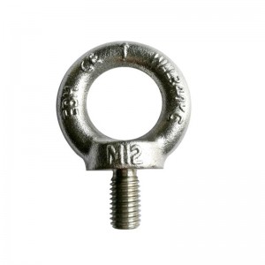 Vite a occhio DIN580 forgiata 316