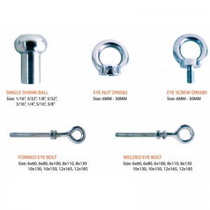 Vite a occhio DIN580 forgiata 316