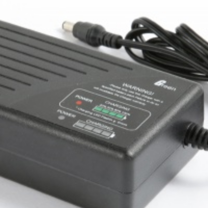 Caricatore LiPo per 12V 24 V 36 V 48 V Li-Ion / Polimero Caricabatterie CE UL PSE