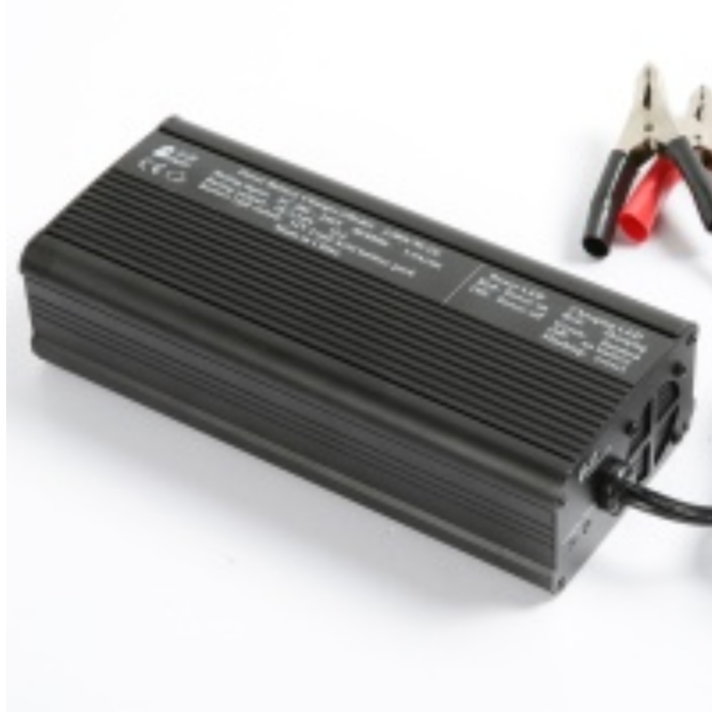 Caricabatteria per 12,8 V 25,6 Volt 38,4 Volt 51,2 V LiFePo4 Batteria