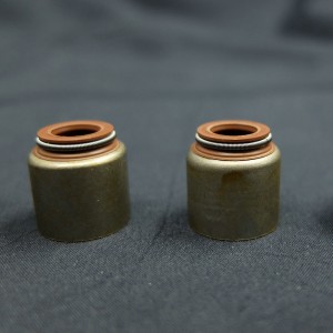 Cina fornitore Valvola stelo paraolio per auto Renault