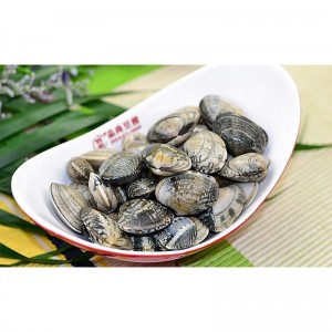 CLAM CON GUSCIO CONGELATO