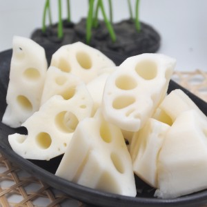 RADICE DI LOTO FROZEN