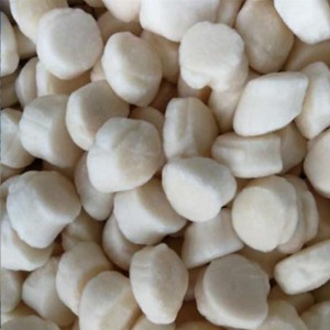 Carne di capesante surgelate