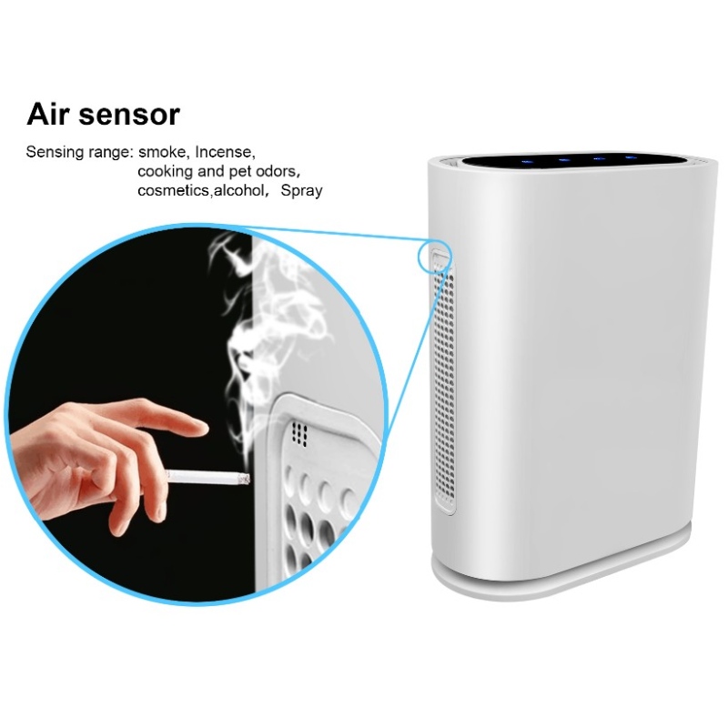 Pulitore ionizzatore d'aria a polvere e fumo Depuratore d'aria ozono con filtro HEPA