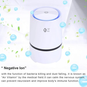 Depuratore d'aria Home Depot e diffusore di aromi Lonizer