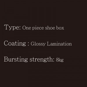 Shoe Box-One Piece-Type3