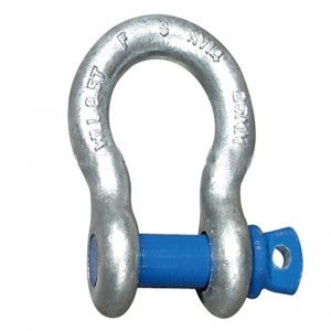 Grillo professionale Anchor D Shackle