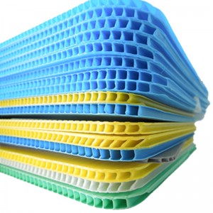 foglio vuoto di polipropilene