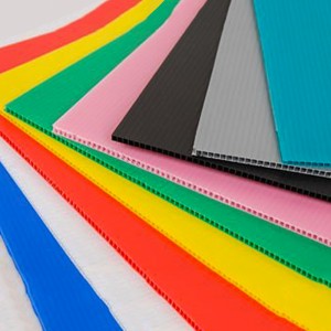 foglio vuoto di polipropilene