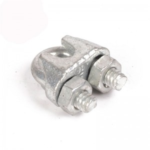 Prodotti caldi Hardware di fissaggio DIN1142 Clip di filo metallico malleabile zincato