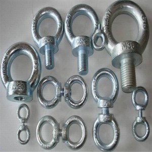 vendita all'ingrosso acciaio inox bullone DIN582 parti in attrezzature meccaniche