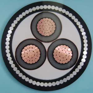 Cavi elettrici schermati e concentrici di media tensione neutri Acqua e fondale marino CSA C68.5