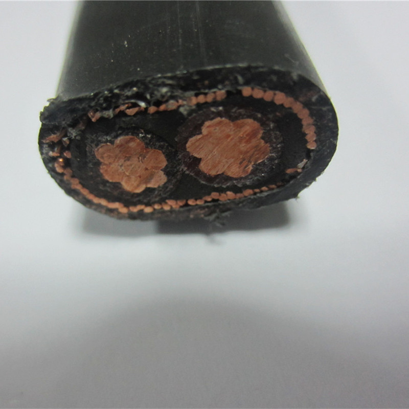 16mm 25mm cavo concentrico diviso 2x8 2x10 3x6 3x8 AWG Cavo di alimentazione per ingresso di servizio