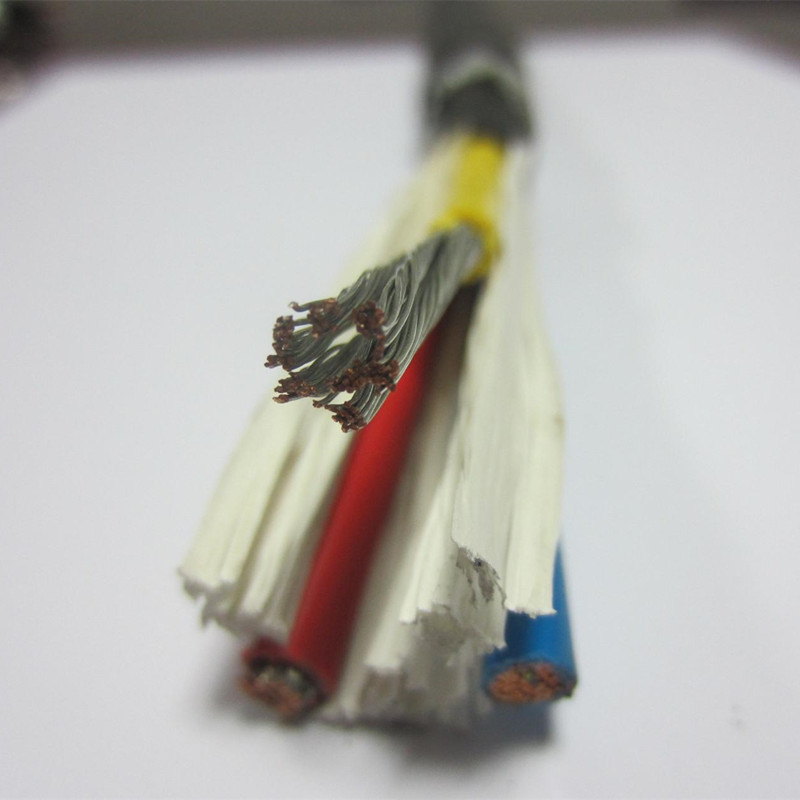 Cavo corazzato nero concentrico 16mm 3 core 6/3 AWG con isolamento in PVC o XLPE