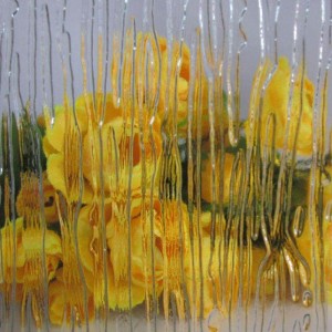 VETRO MODELLO CHIARO E TINTO