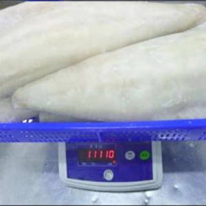 Filetti di merluzzo atlantico congelati e salati leggeri