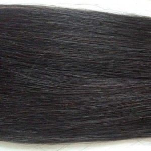 Coda di cavallo - Crown08