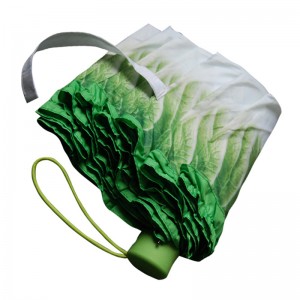 Ombrello vegetale di cavolo vegetale con stampa digitale Ombrello speciale a pioggia 3 volte ombrello manuale aperto