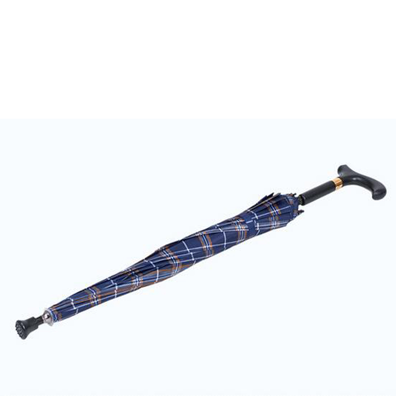 Design per vecchio bastone da passeggio con bastone da passeggio