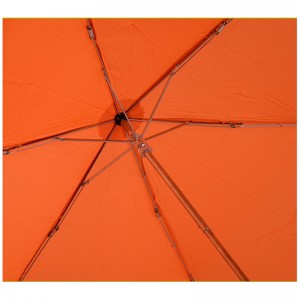 2019 Ombrello pieghevole speciale per verdure pieghevole Carrot 3