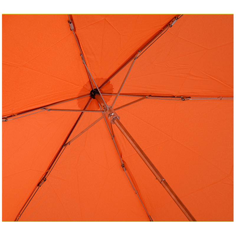 2019 Ombrello pieghevole speciale per verdure pieghevole Carrot 3
