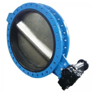 Valvola a farfalla flangiata