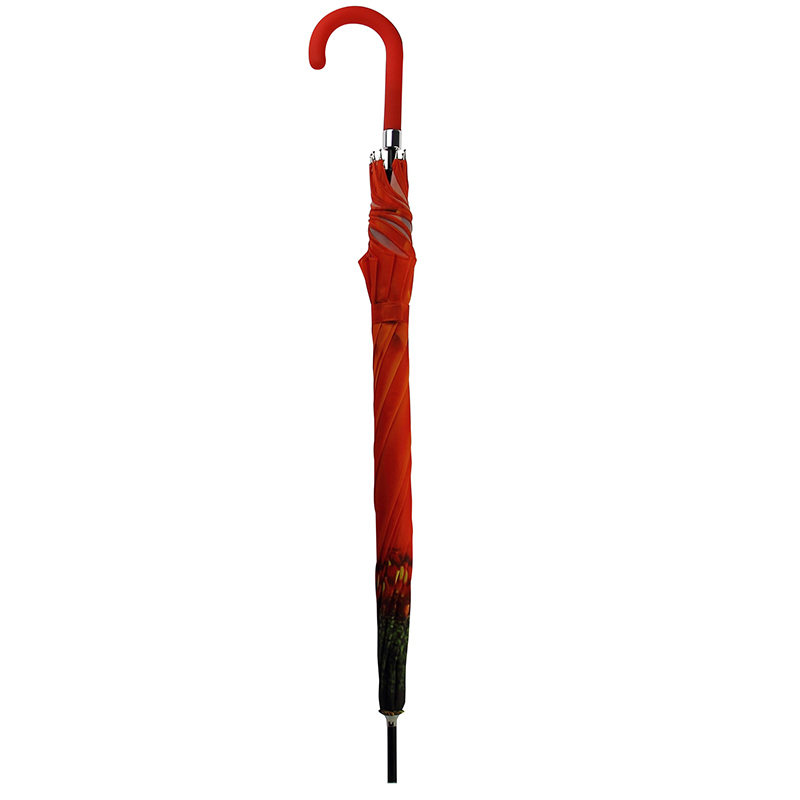 Ombrello di forma di fiore di forma del fiore di disegno del cutom degli occhiali da 201 pollici di dimensioni 23inch