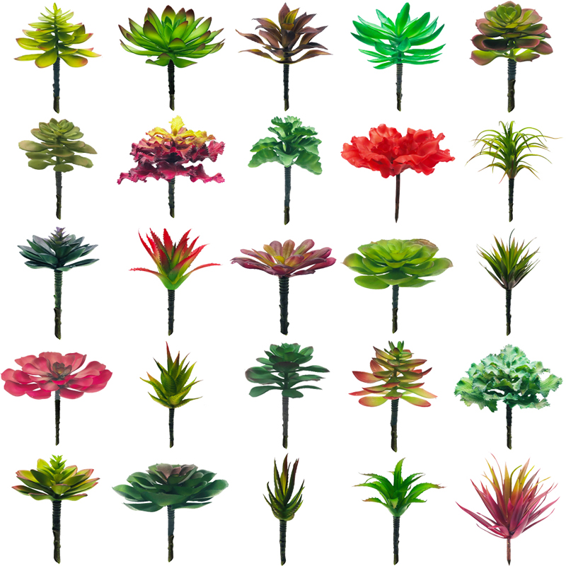 Le piante succulente artificiali selezionano il cactus verde delle decorazioni del Faux