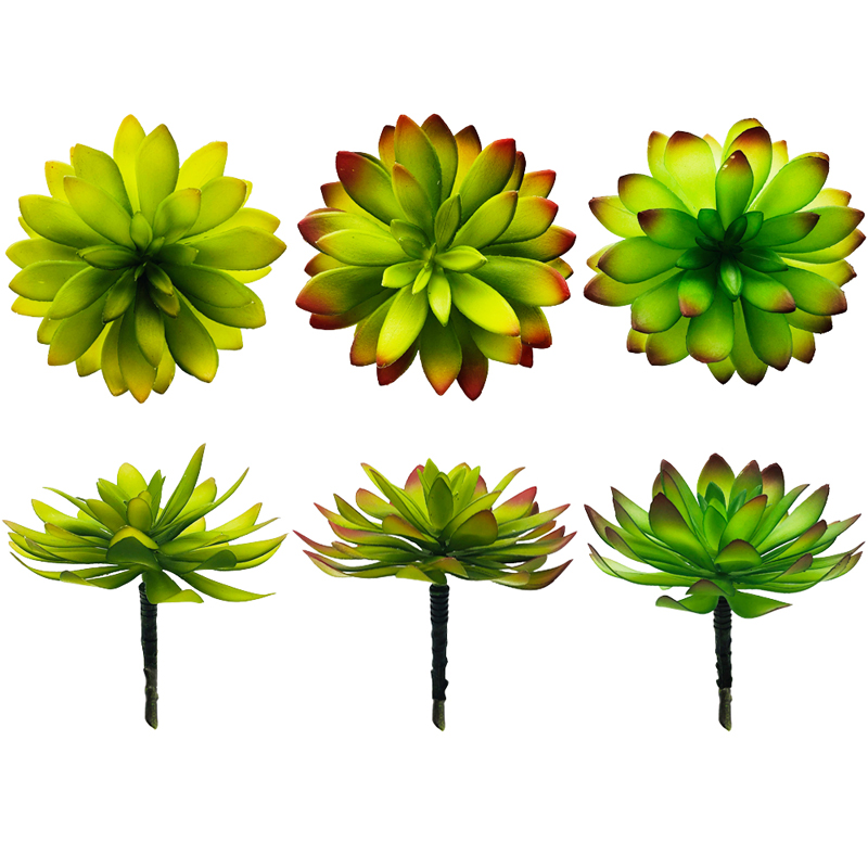 Le piante succulente artificiali selezionano il cactus verde delle decorazioni del Faux