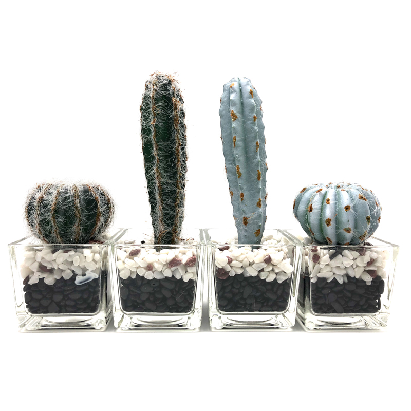 Cactus artificiale nella decorazione succulente di Faux del vaso di vetro decorativo per la casa o l'ufficio