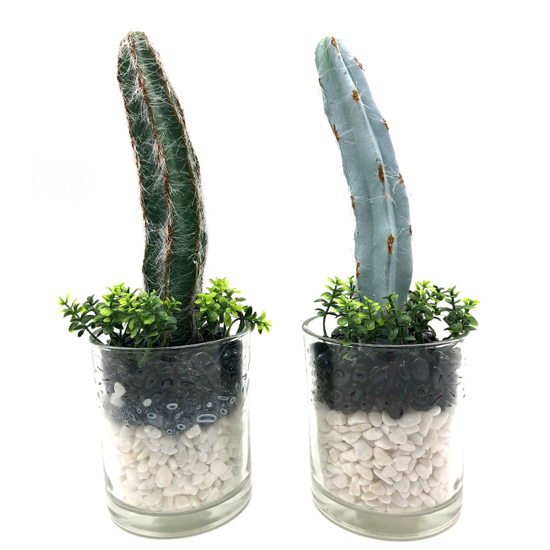 Cactus artificiale nella decorazione succulente di Faux del vaso di vetro decorativo per la casa o l'ufficio