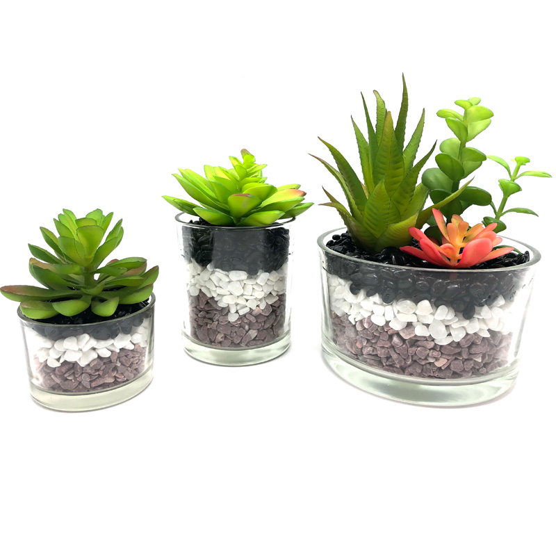 Piante succulente artificiali con vaso decorativo da tavolo in vetro decorativo