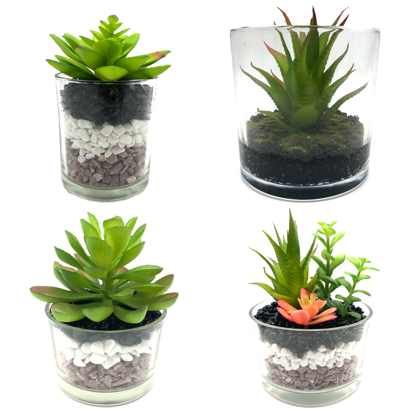 Piante succulente artificiali con vaso decorativo da tavolo in vetro decorativo