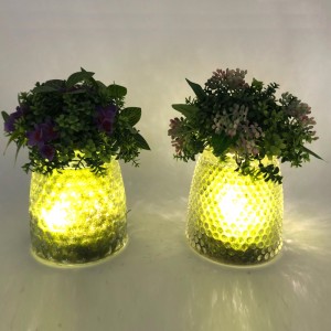 Pianta succulente artificiale decorativa da tavolo di vetro del LED con il vaso di visualizzazione del globo